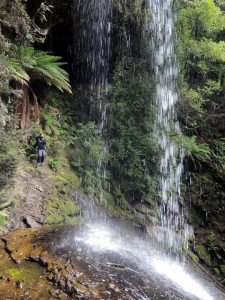 Shower Cave Falls